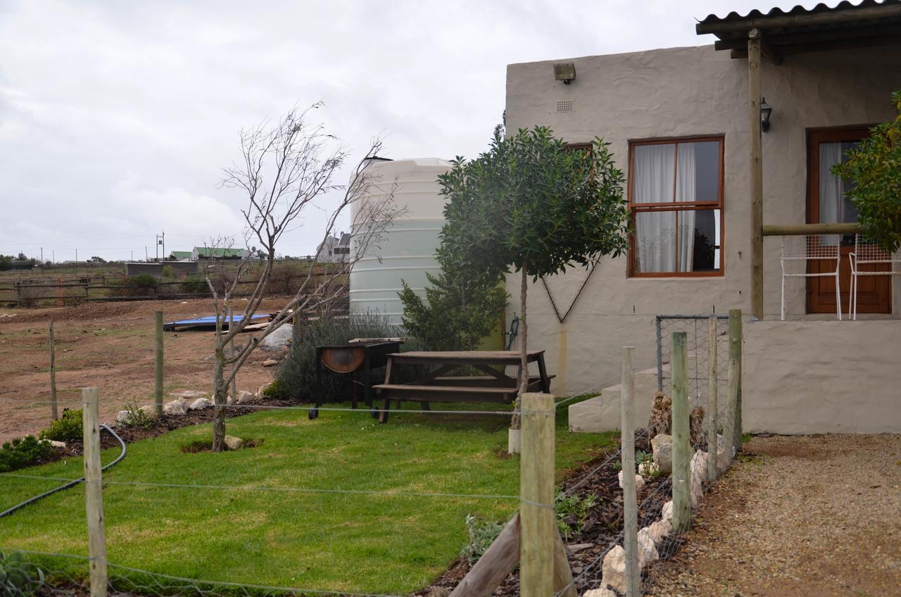 لانجيبان The Stables Accommodation المظهر الخارجي الصورة